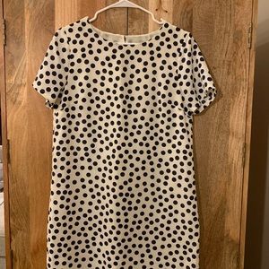 J Crew Shift Dress Blue Polka Dots